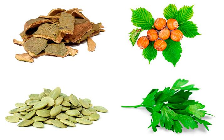 Volksheilmittel gegen Prostatitis Espenrinde, Kürbiskerne, Petersilie und Haselnüsse